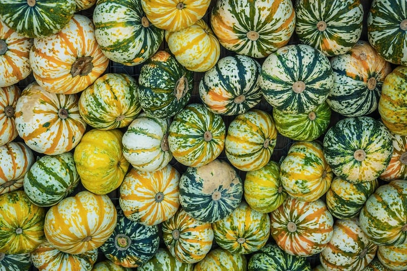 Harvest Festival
