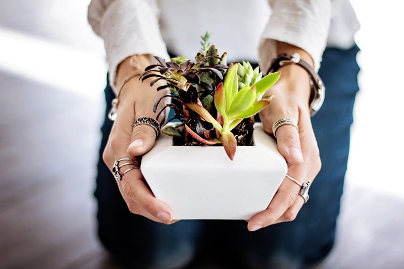 Urban Planting